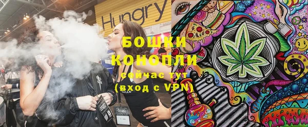 СК Гусь-Хрустальный