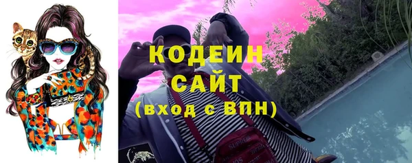 Альфа ПВП Гусев